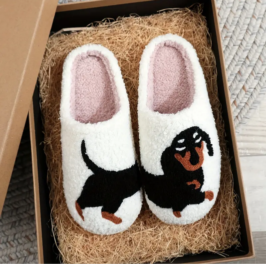 DachSlides™